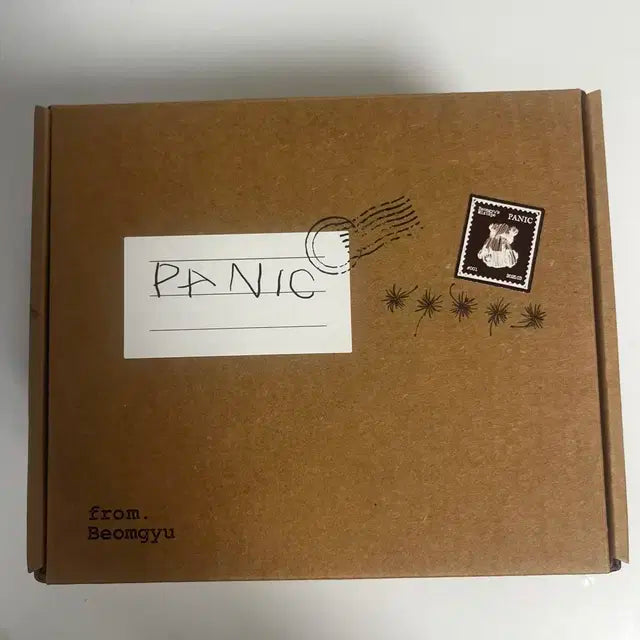 패닉 panic 앨범 범규 투모로우바이투게더 솔로앨범