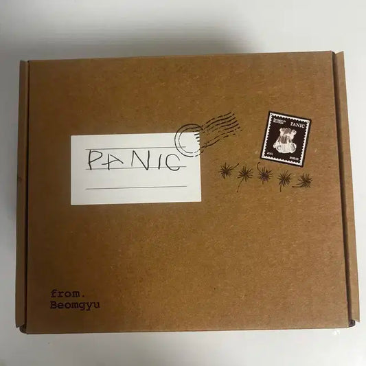 패닉 panic 앨범 범규 투모로우바이투게더 솔로앨범