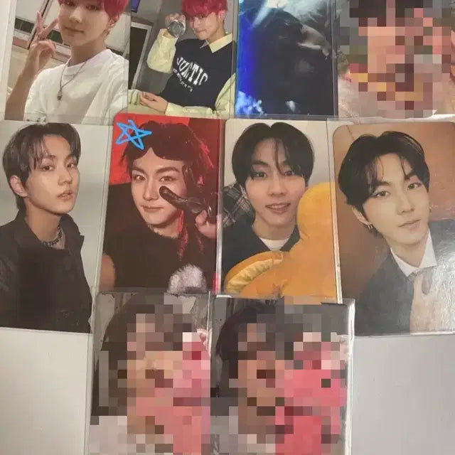 엔하이픈 정원 일괄