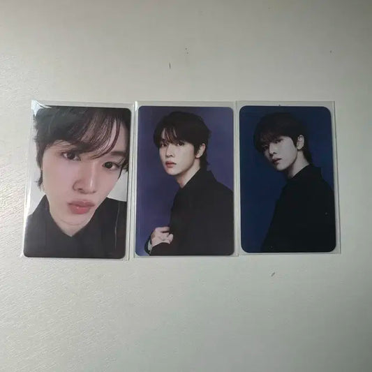 라이즈 성찬 시그 포카