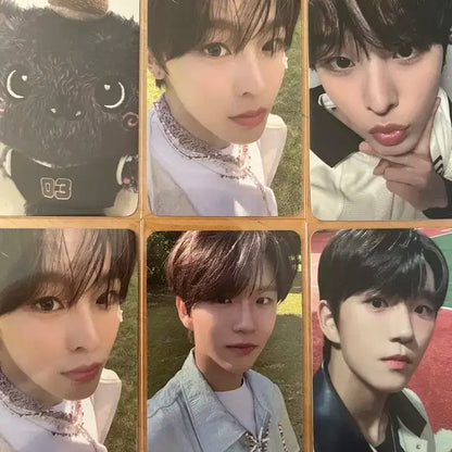 엔시티 포카 양도티비해요