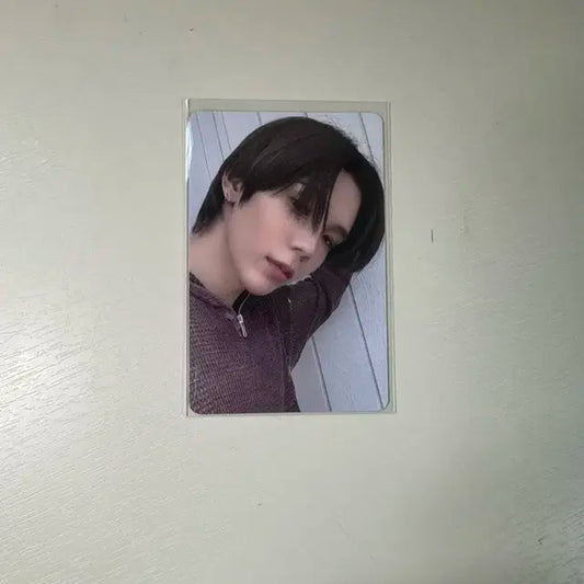 쇼타로 에버라인 미공포