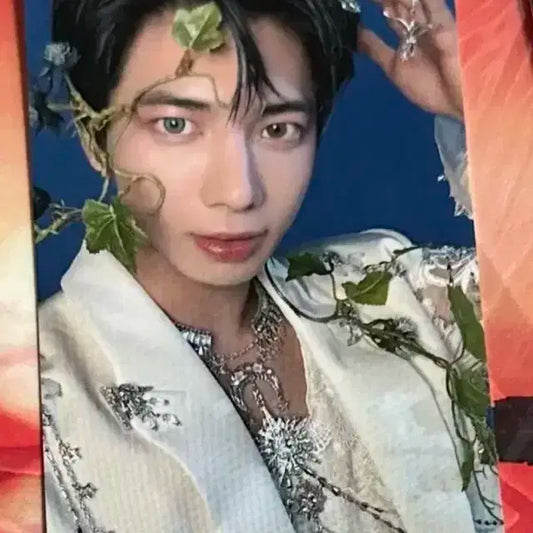 별의장 투게더 위버스 재팬 특전 태현