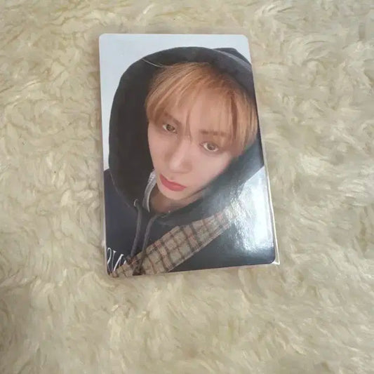 노장르 태산