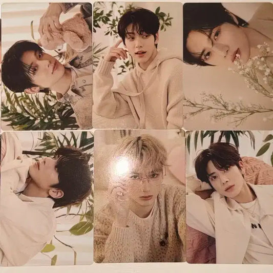 투바투 드림위크 미니포카 포카 특전 엽서 양도