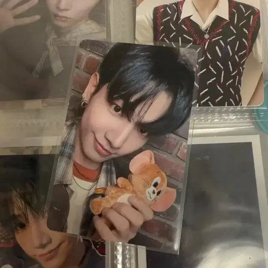 보넥도 포카 HMV 재현 굿즈 판매 양도 성호리우재현태산운학