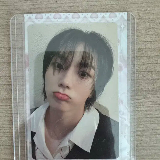 보넥도 성호 포카 양도 ㅅㅊㅇ명재현리우운학이한태산