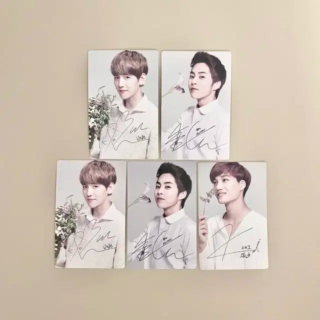 엑소 EXO 네이처 공식 포카 5장 세트