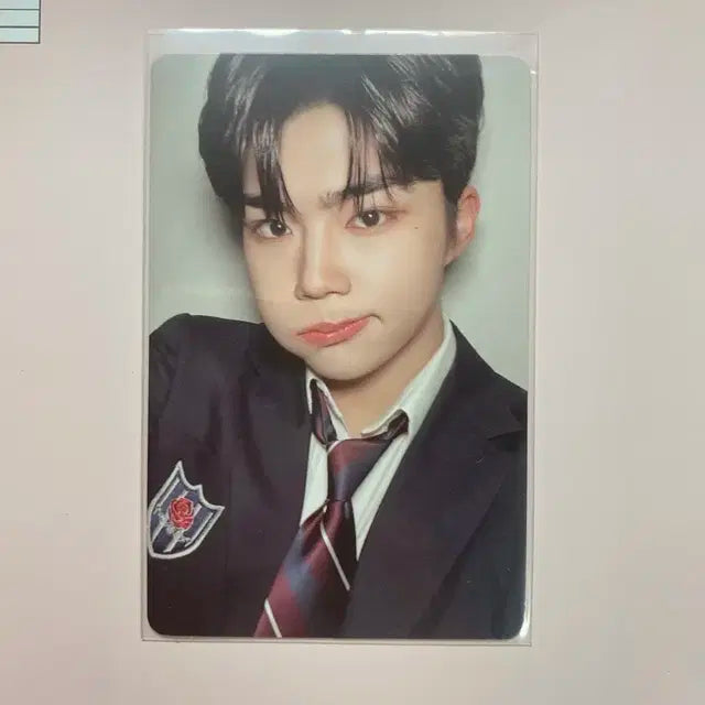제베원 제로베이스원 포카 일괄
