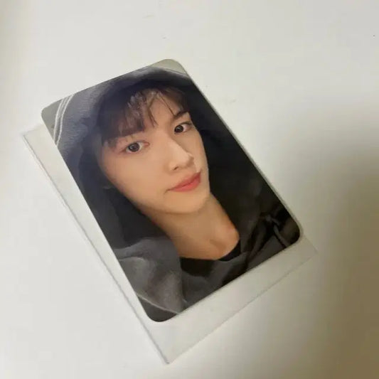 라이즈 성찬 포카 양도