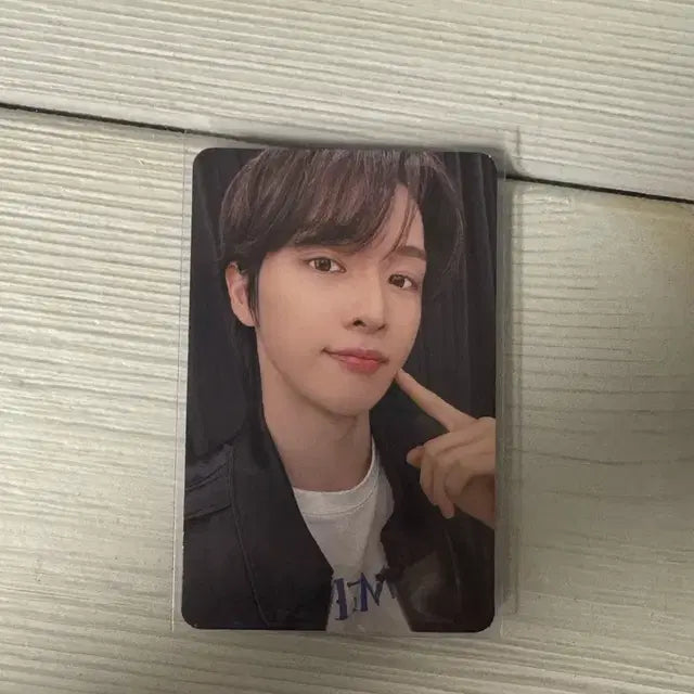 라이즈 예티몰 포카 은석성찬앤톤원빈쇼타로소희미개봉앨범공포인형 럭드