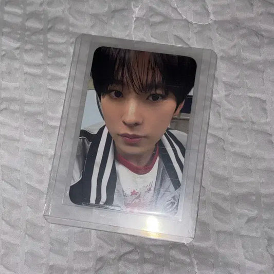 엔시티 위시 전시회 5만원 금액 특전 유우시 포카