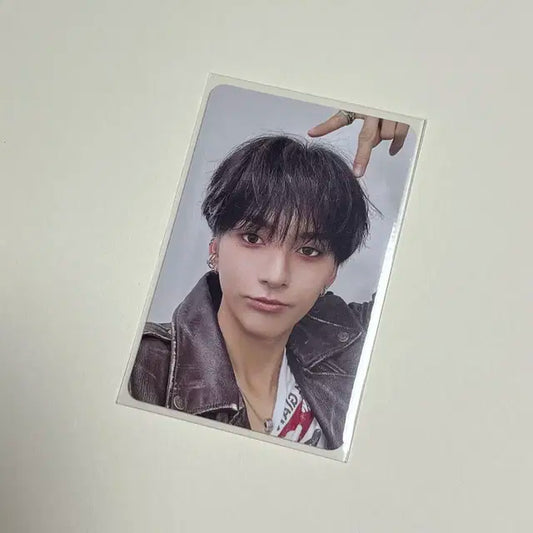 엑디즈 오드 livelock 라이브락 앨범 포카 앨포