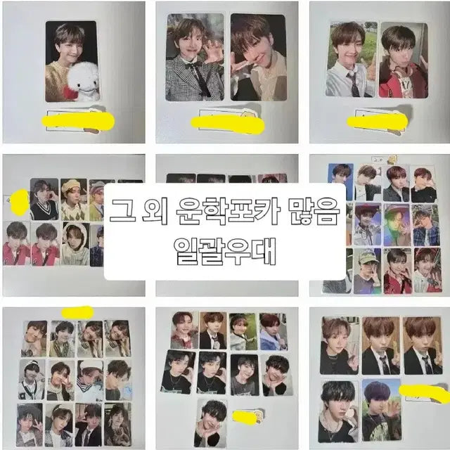 보넥도 운학 포카