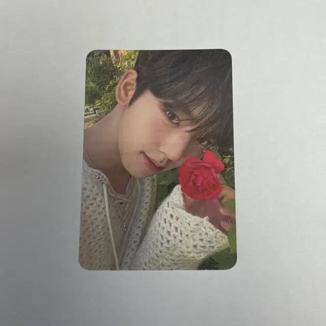 제로베이스원 한유진 1집 꽃 포카 양도