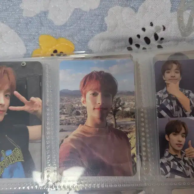 세븐틴 도겸 포카 싸게 양도합니다!