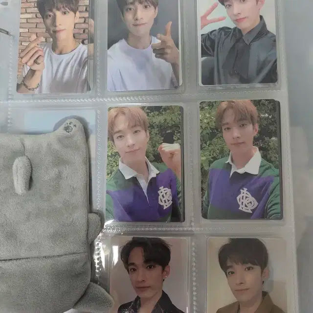 세븐틴 도겸 포카 싸게 양도합니다!