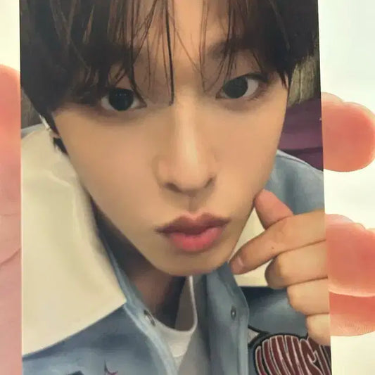 리쿠 5만원 포카 양도