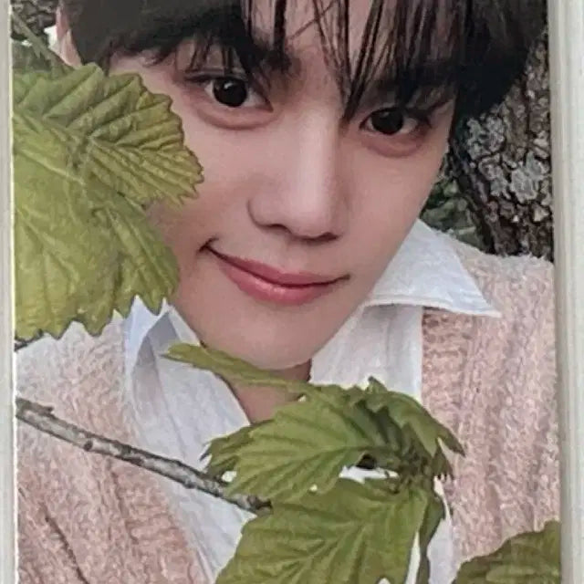 제베원 김규빈 정규1집 앨포 포카 양도