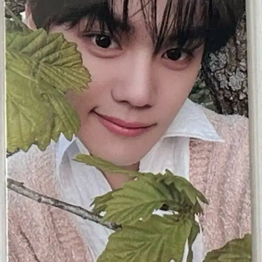 제베원 김규빈 정규1집 앨포 포카 양도