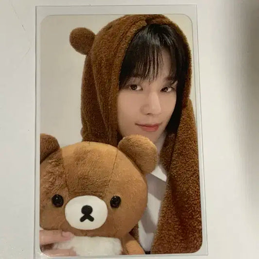 더보이즈 주연 코구마 코굼덥 포토카드 포카