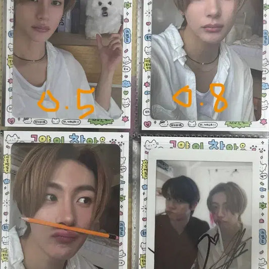 라이즈 앤톤 포카 양도