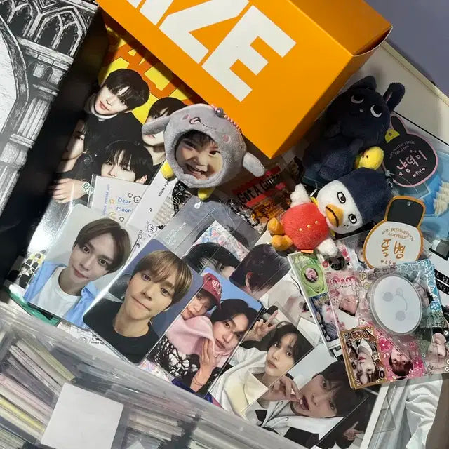 라이즈 공굿 비공굿 랜박 판매 탈덕처분