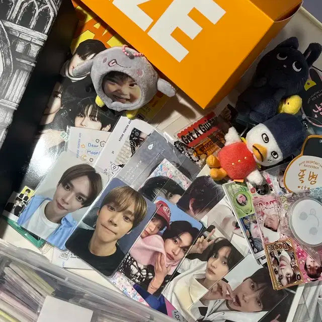 라이즈 공굿 비공굿 랜박 판매 탈덕처분