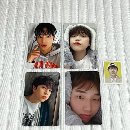 산들 공찬 포카 양도