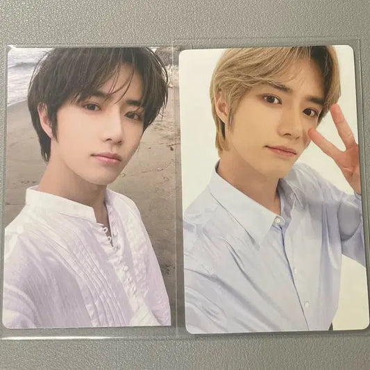 범규 포카 일괄