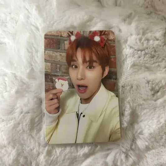 엔시티 127 2024 핑크 크리스마스 정우 포카 양도