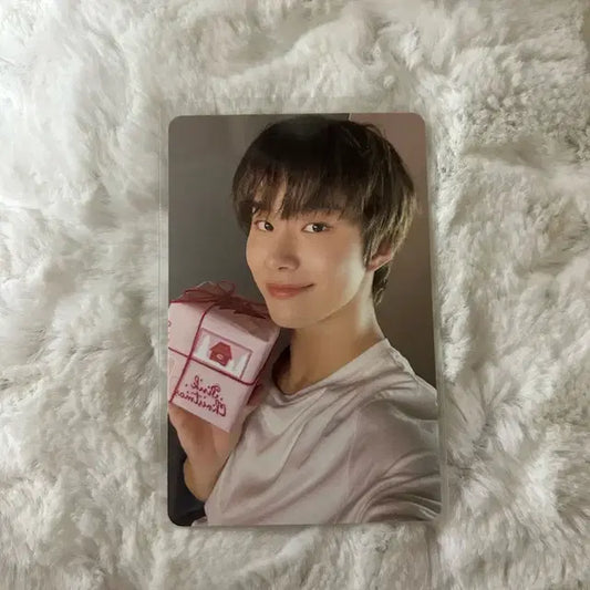 엔시티 127 2025 핑크 크리스마스 정우 포카 양도