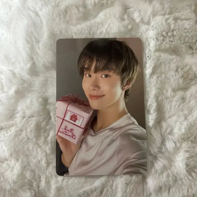 엔시티 127 2025 핑크 크리스마스 정우 포카 양도