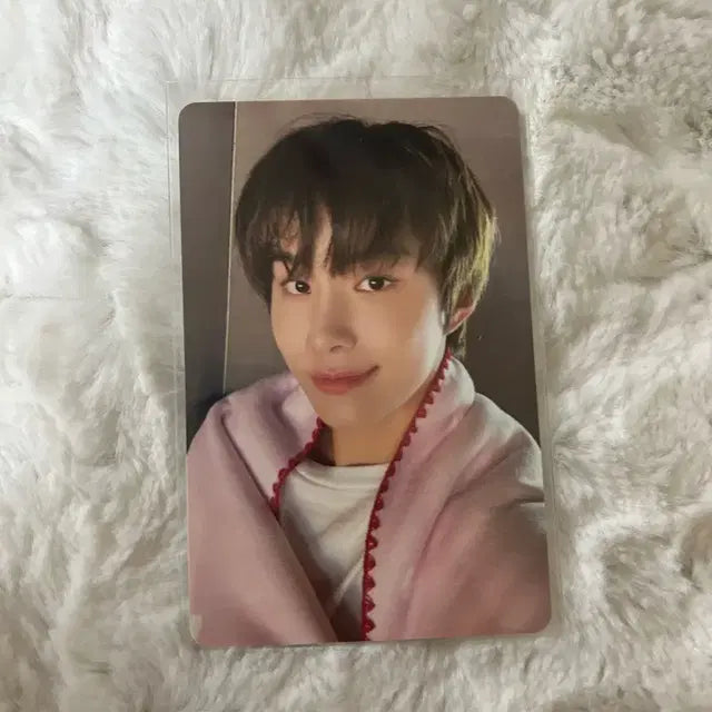 엔시티 127 2025 핑크 크리스마스 정우 포카 양도