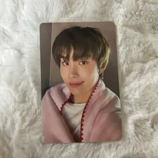 엔시티 127 2025 핑크 크리스마스 정우 포카 양도