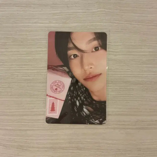 라이즈 원빈 핑크크리스마스 포카 판매