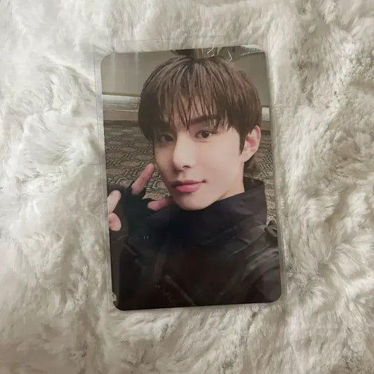 엔시티 127 더모멘텀 정우 포카 양도