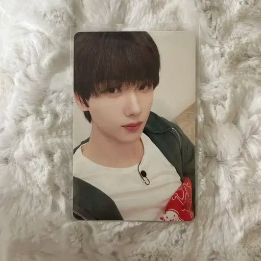 엔시티 드림 드림스케이프 버터칼버전 지성 포카 양도