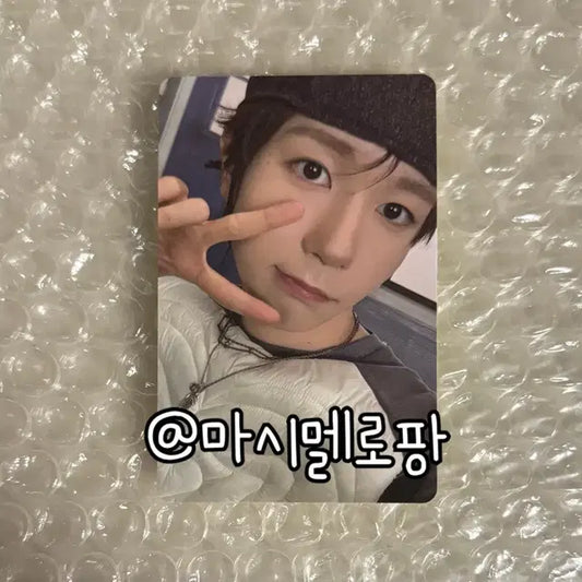 엔시티위시 컬러 료 쥬얼 포카 포토카드 앨범 서프 color surf