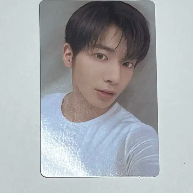 지비지비 태현 포카 판매합니다