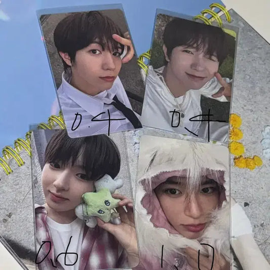 위시 컬러 포카