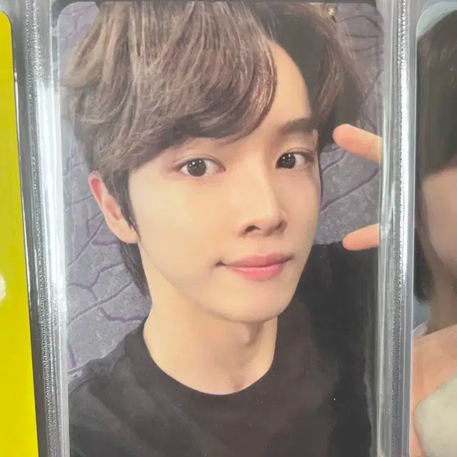 라이즈 포카 성찬 붐붐베