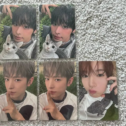 엔시티위시 surf 쥬얼 앨포 양도 리쿠 유우시 사쿠야