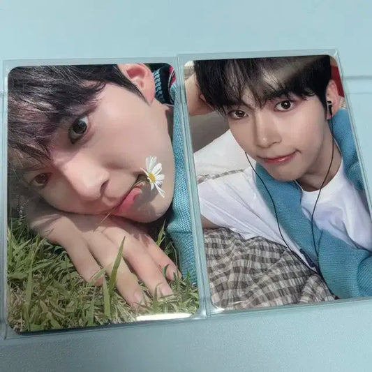 제로베이스원 성한빈 포카 일괄