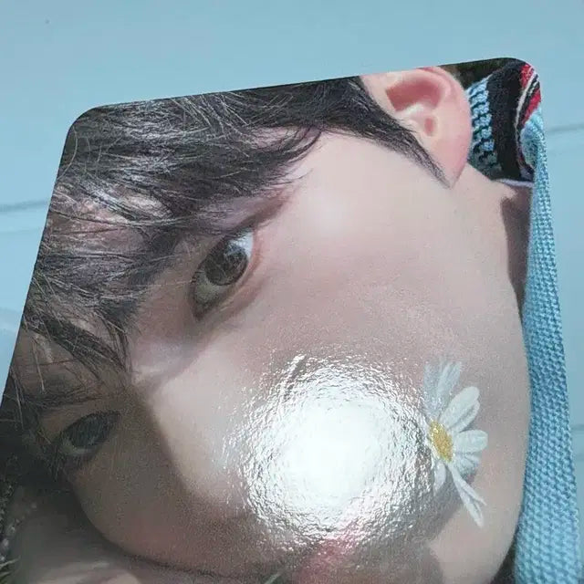 제로베이스원 성한빈 포카 일괄