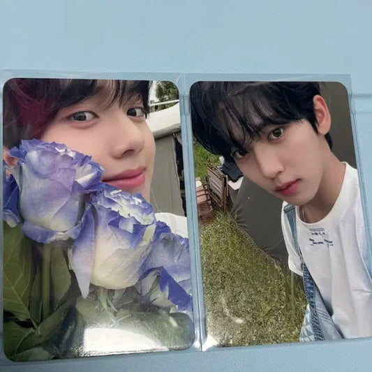 제로베이스원 한유진 포카 일괄