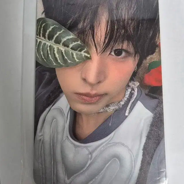 (미개봉) 엔시티 위시 컬러 케타포 리쿠