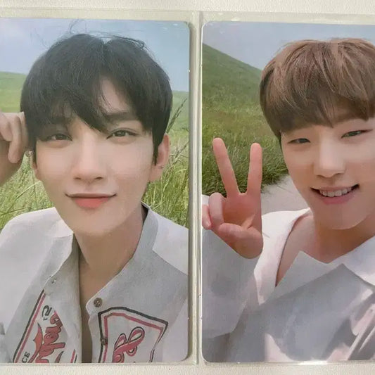 세븐틴 조슈아 디노 어쩌나 포카