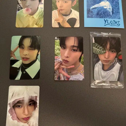 NCT WISH 시온 리쿠 유우시 포카 양도