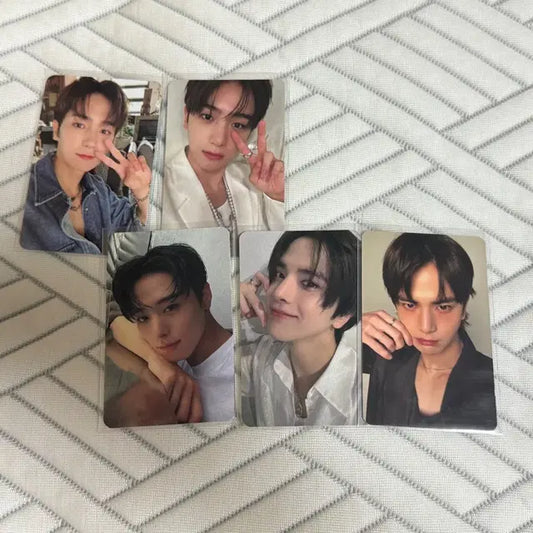 더보이즈 현재 주연 영훈 포카 양도